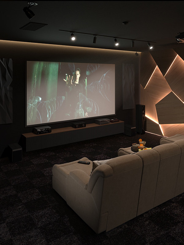 男人的私人娱乐室-4