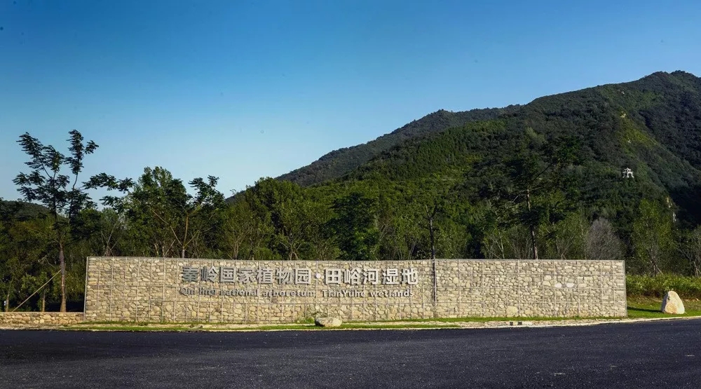 秦岭国家植物园田峪河湿地公园景观设计-60