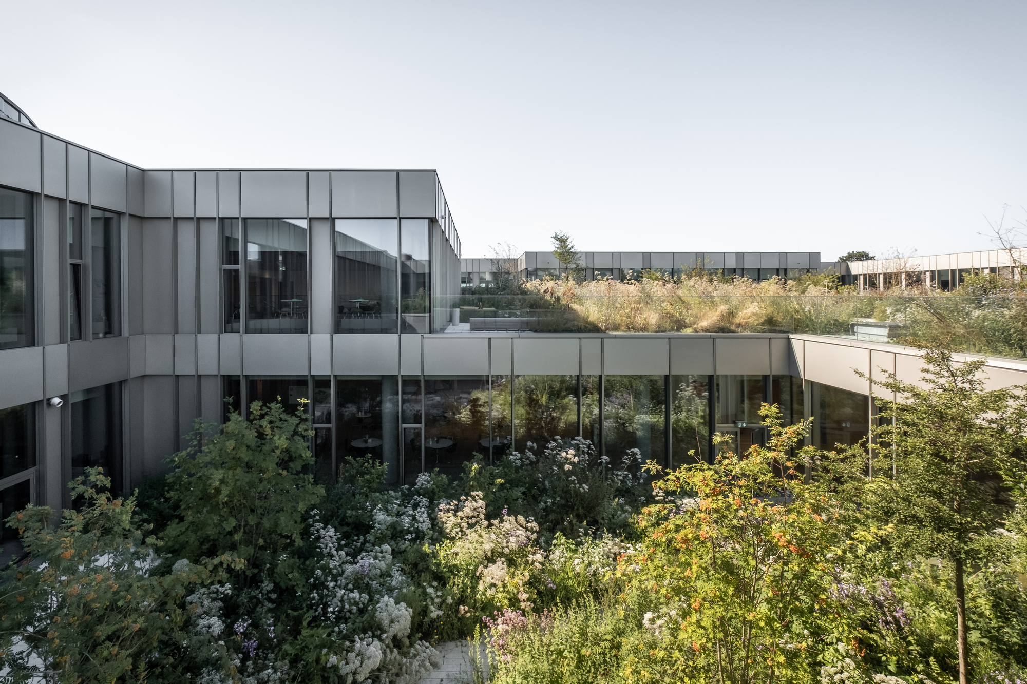 哥本哈根斯泰诺糖尿病中心丨丹麦-29