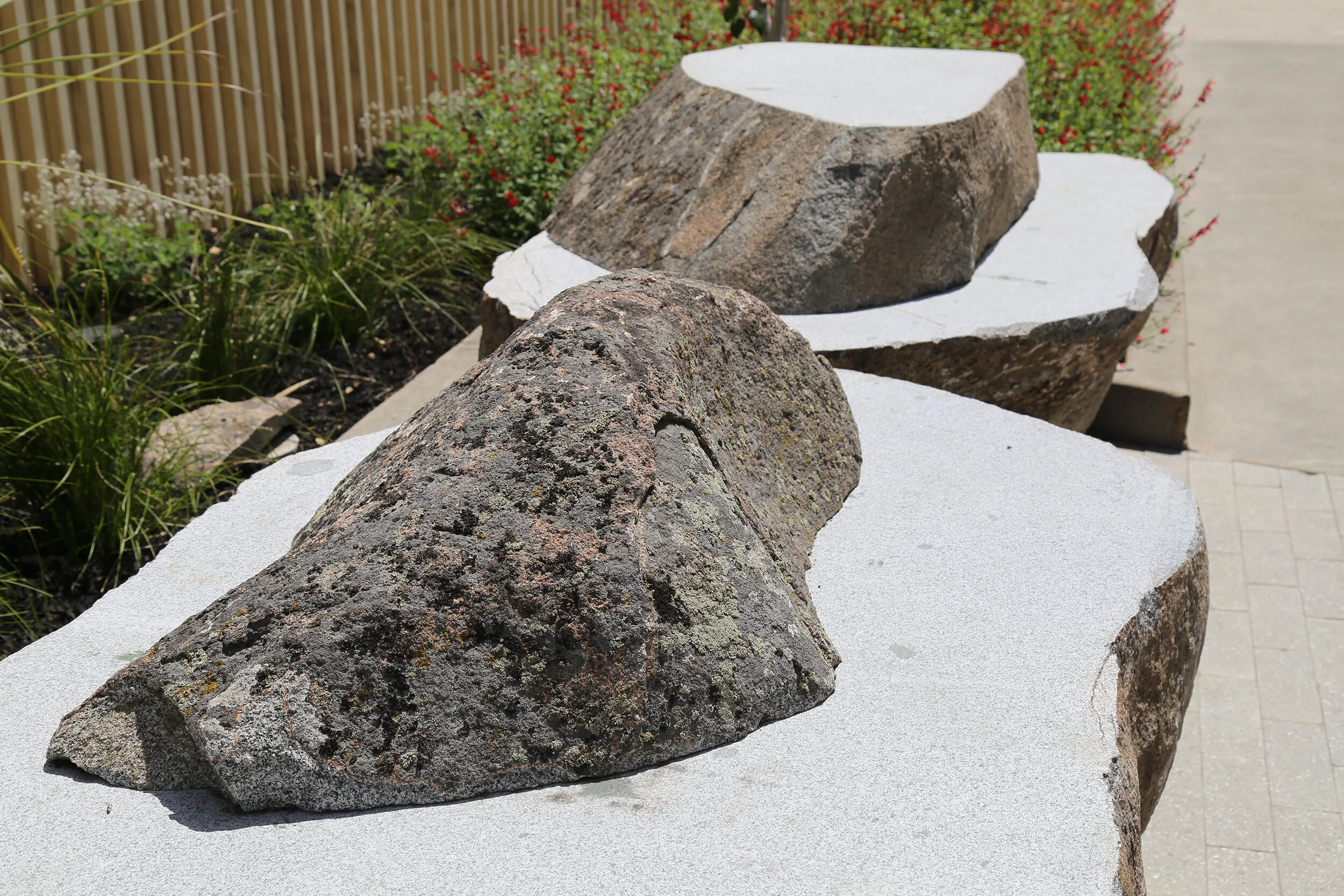 Mariposa Greenway（马里波萨绿道）丨美国丨Fletcher Studio（弗莱彻工作室）-58