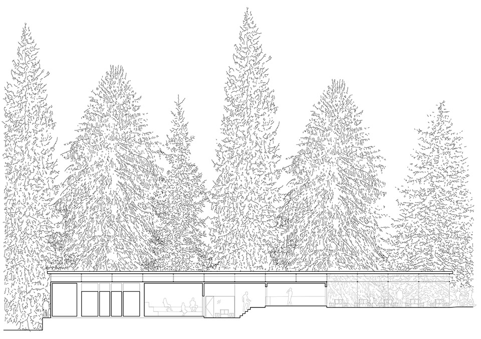 森林泳池,捷克丨Mjölk architekti + Marie Vondráková-63