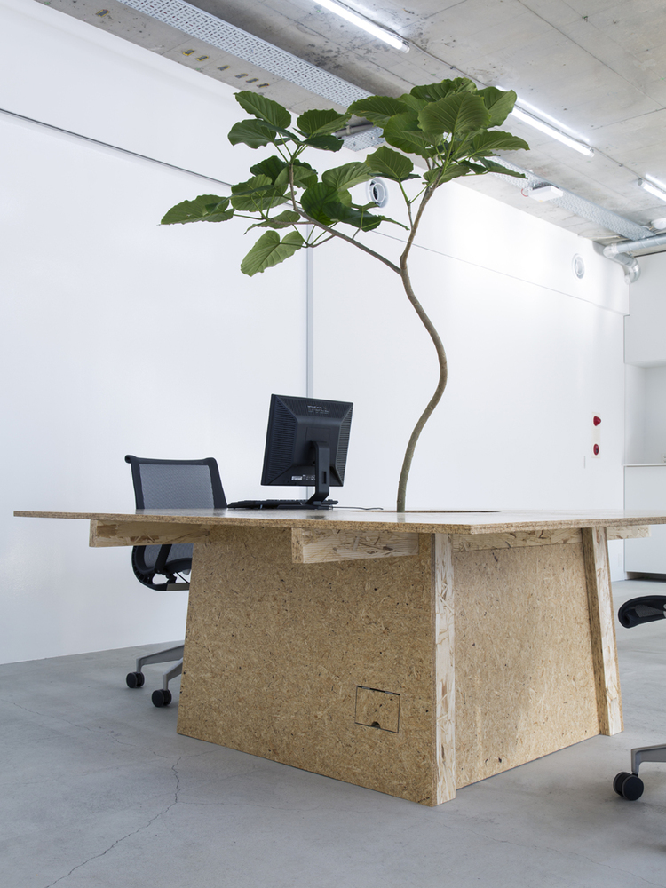 东京绿意盎然的中古商店-36