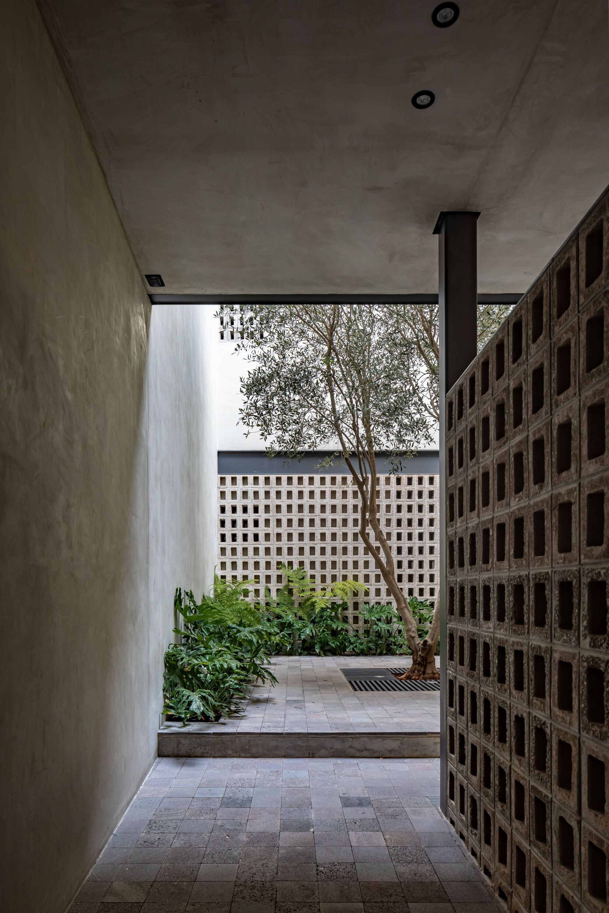 拉斯哈达斯住宅区丨墨西哥丨REIMS 502-11