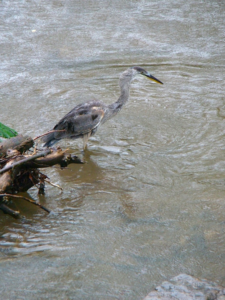 复古复兴 | 19 世纪 50 年代美国宾夕法尼亚州小威尼斯建筑群-130