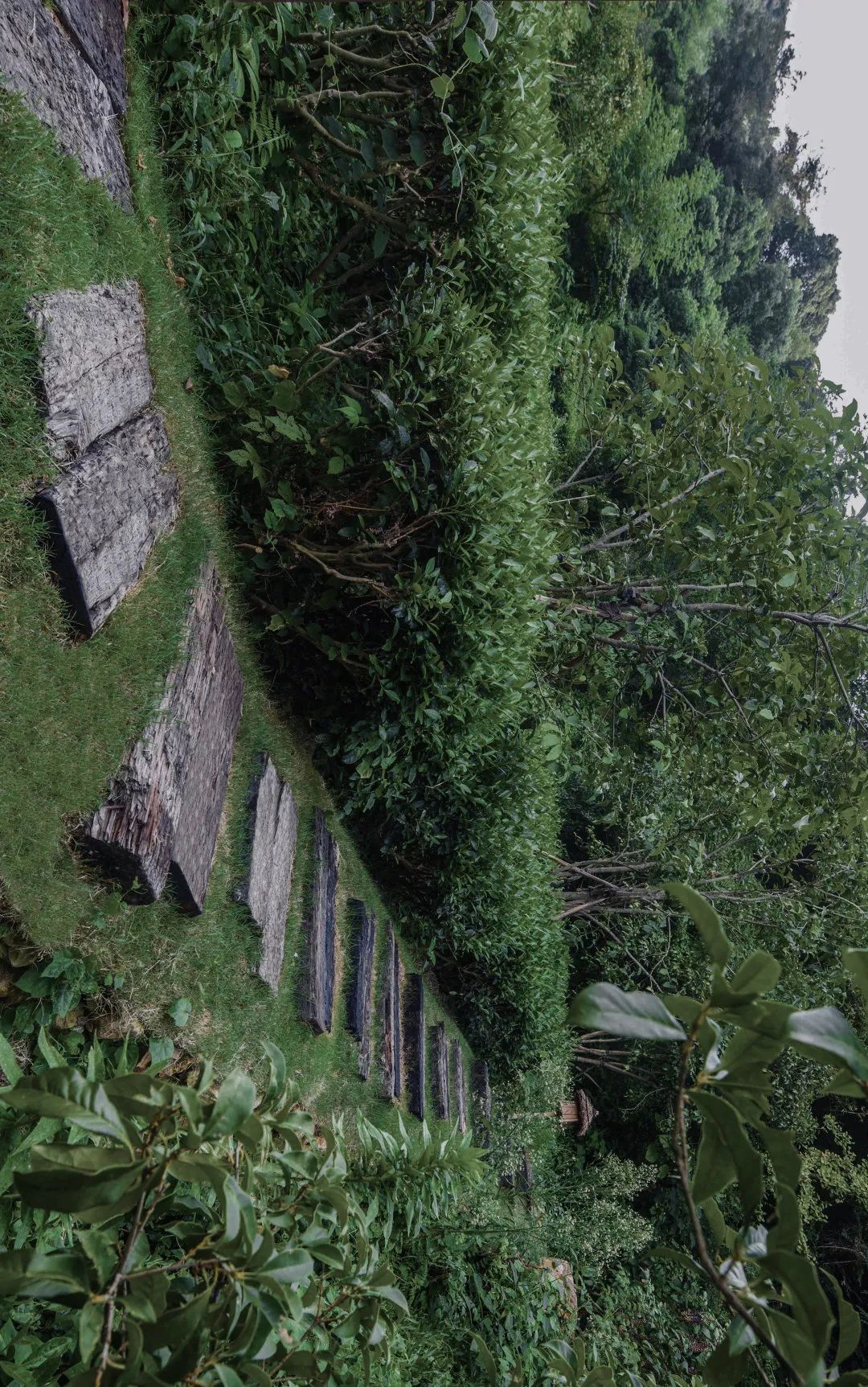 重塑人与自然的连接｜开元森泊度假酒店-74