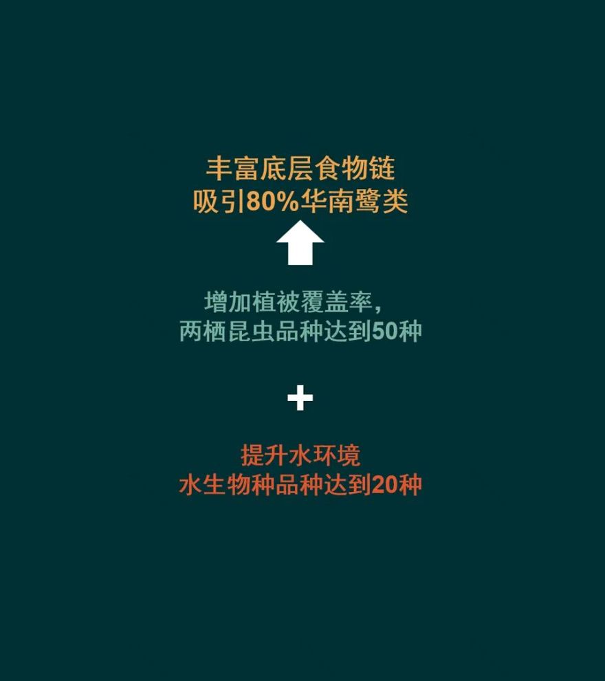 顺德鹭鸟湿地片区景观规划丨中国佛山丨AECOM-47