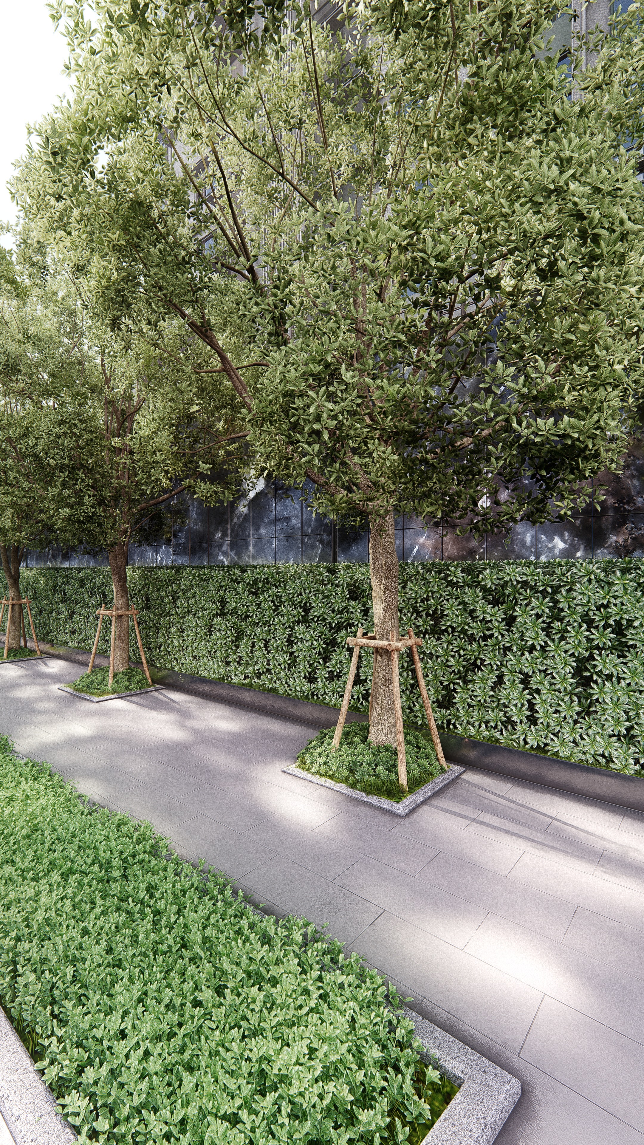 绿意盎然 | Lumion 打造沉静林间空间-7