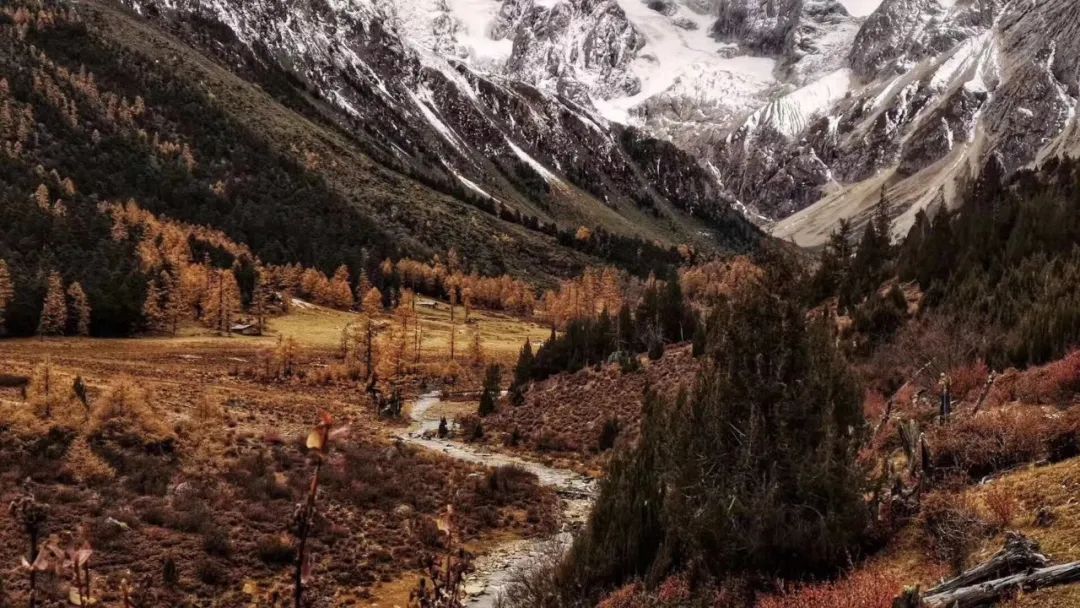 六家丽世酒店串联起一条茶马古道，滇藏线又添美好酒店体验-6