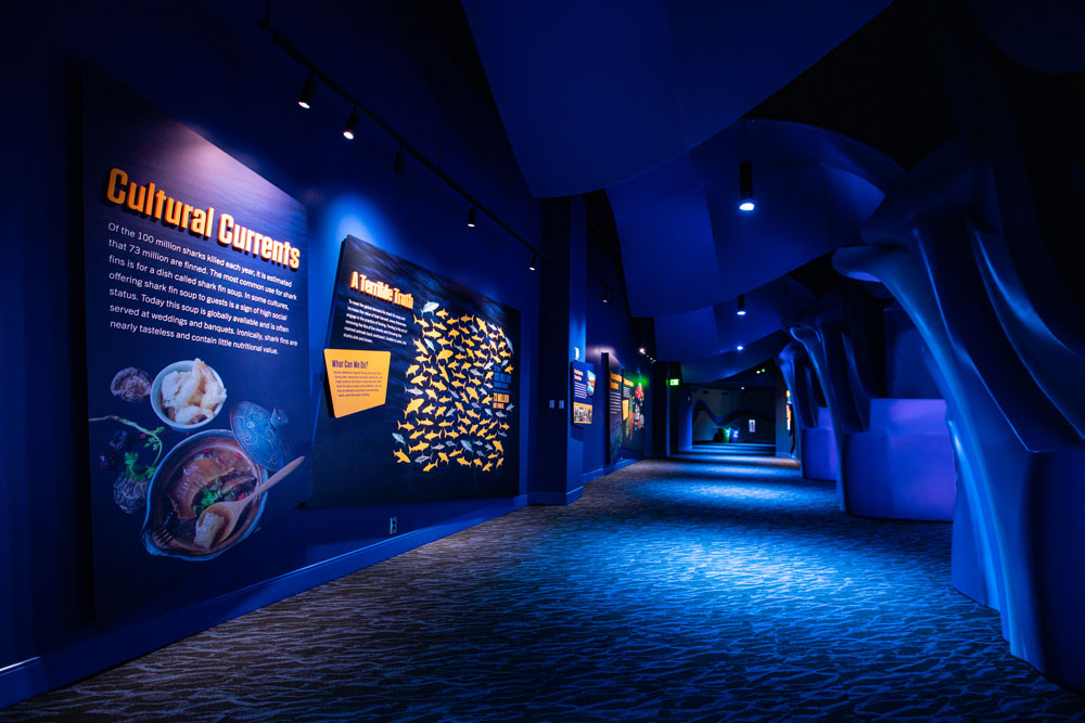 Georgia Aquarium Expansion, Atlanta, GA | Oculus Light Studio-2