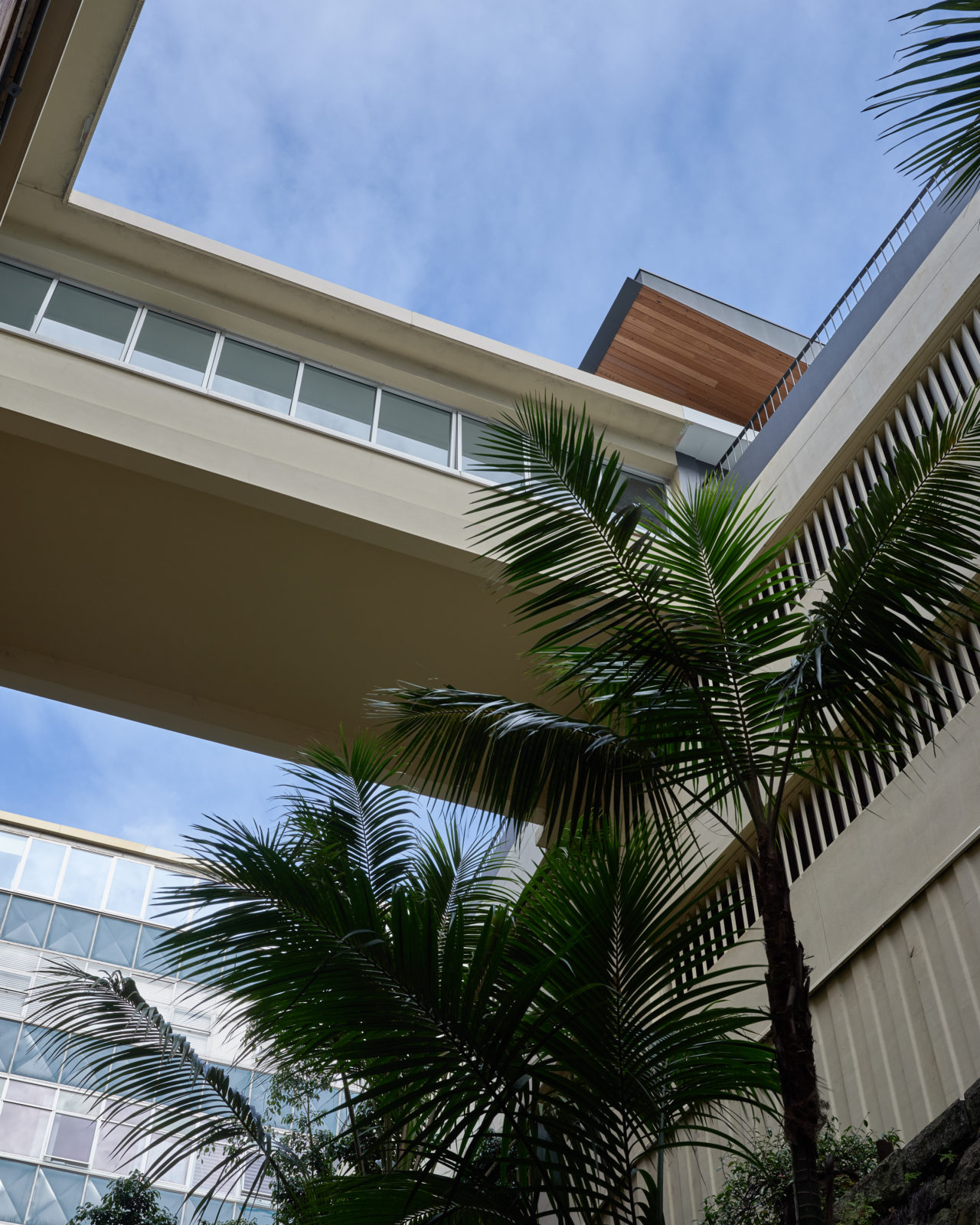 丨澳大利亚新南威尔士-16