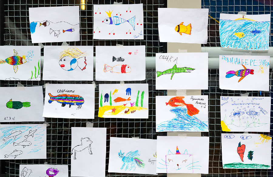 “Жизнь большой реки”（《大河的生活》）移动展览丨Аква Лого Инжиниринг（阿夸·洛戈工程公司）-37