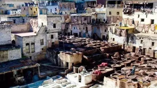 《Science》公布的 125 个最具挑战性的科学问题,你感兴趣的是哪个?-240