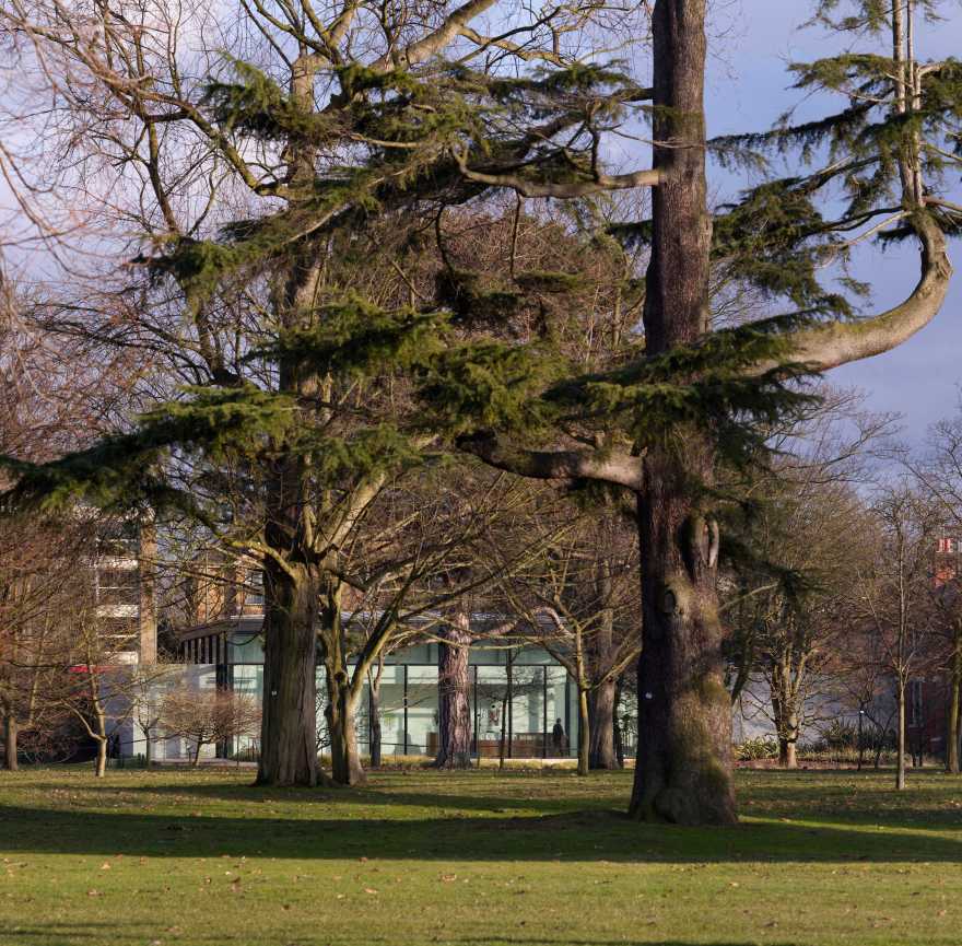 邱园植物艺术画廊(雪莉舍伍德美术馆)-43