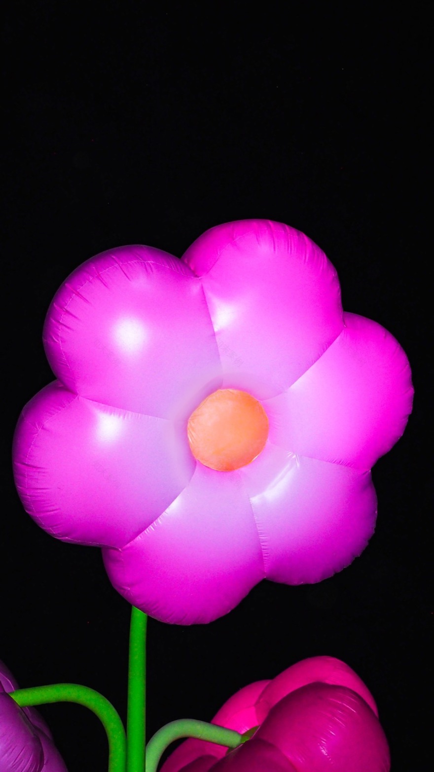 2025年科切拉艺术计划丨Public Art Company(PAC)等多位艺术家-130