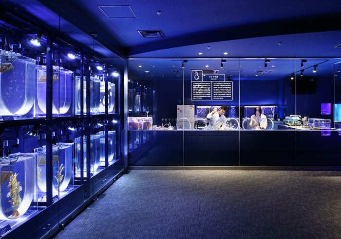 コニカミノルタプラネタリウム “天空” in 東京スカイツリータウン丨日本京都丨乃村工藝社(森田雅美,小杉今日子,上野廣司)-23