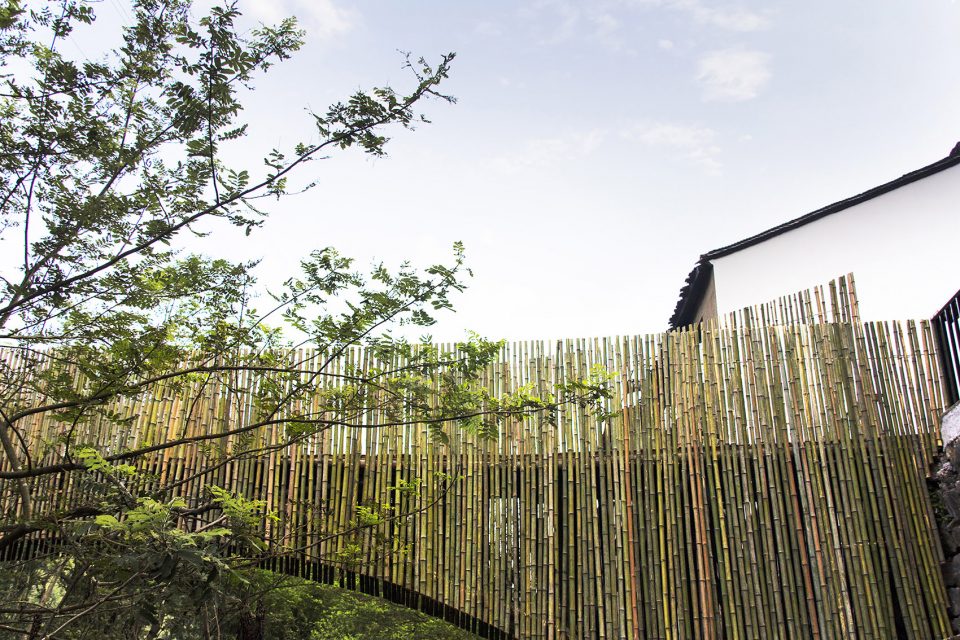 浙江余姚中村竹桥-24