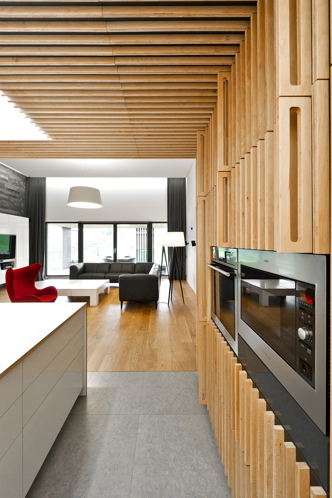 Black House in Vilnius  Laurynas Žakevičius architects-39