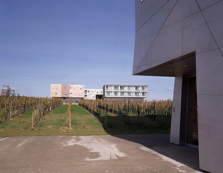 奥地利酒庄酒店“Loisium Hotel”-22