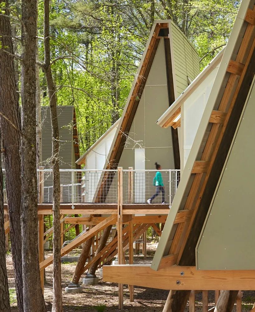 格雷厄姆营地 | 树屋冒险，自然与设计的完美融合-24