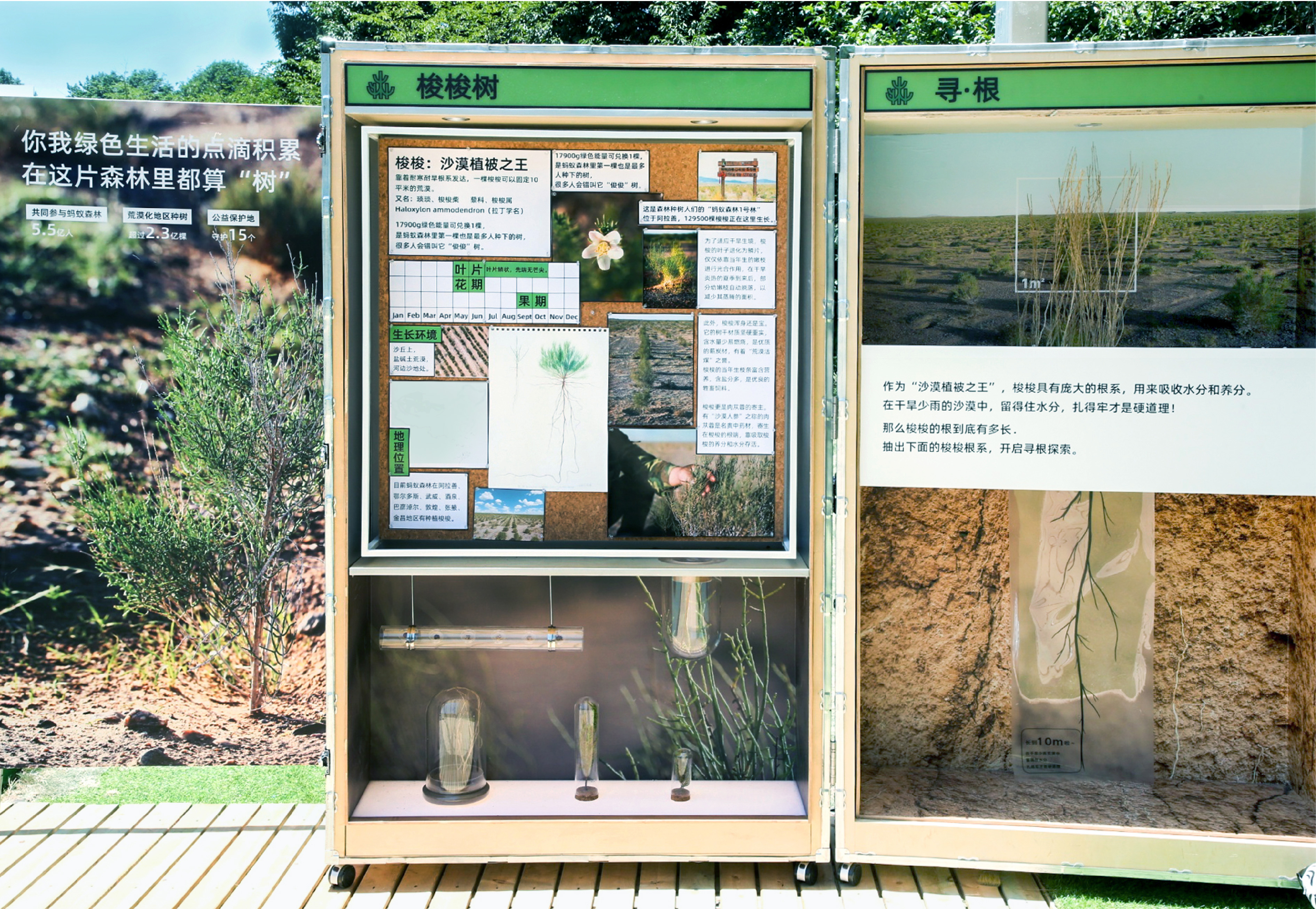 《森林LAB · 城市里的荒漠森林》互动展览丨中国杭州丨蚂蚁森林×不是美术馆-19