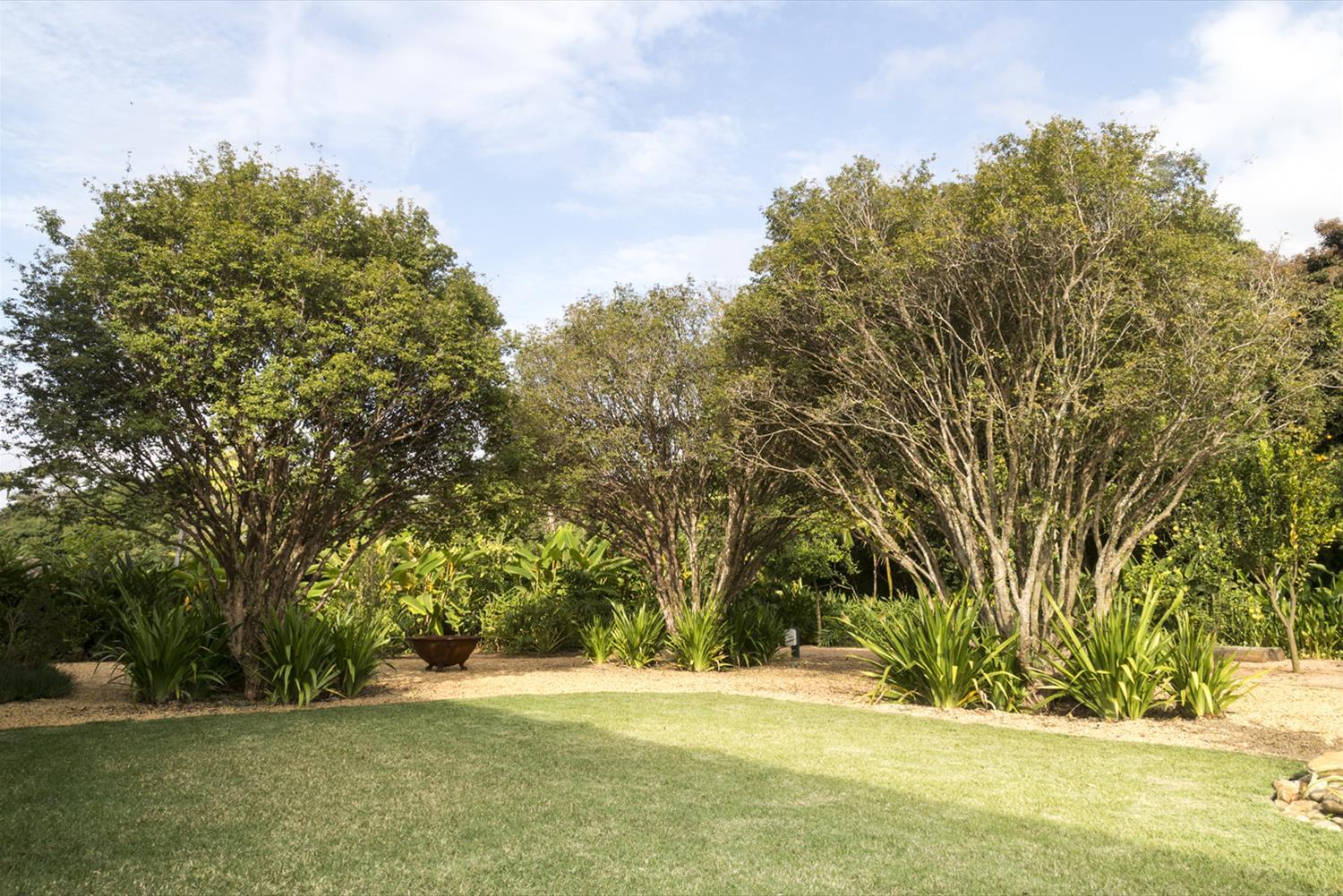 巴西热带庄园景观设计-7