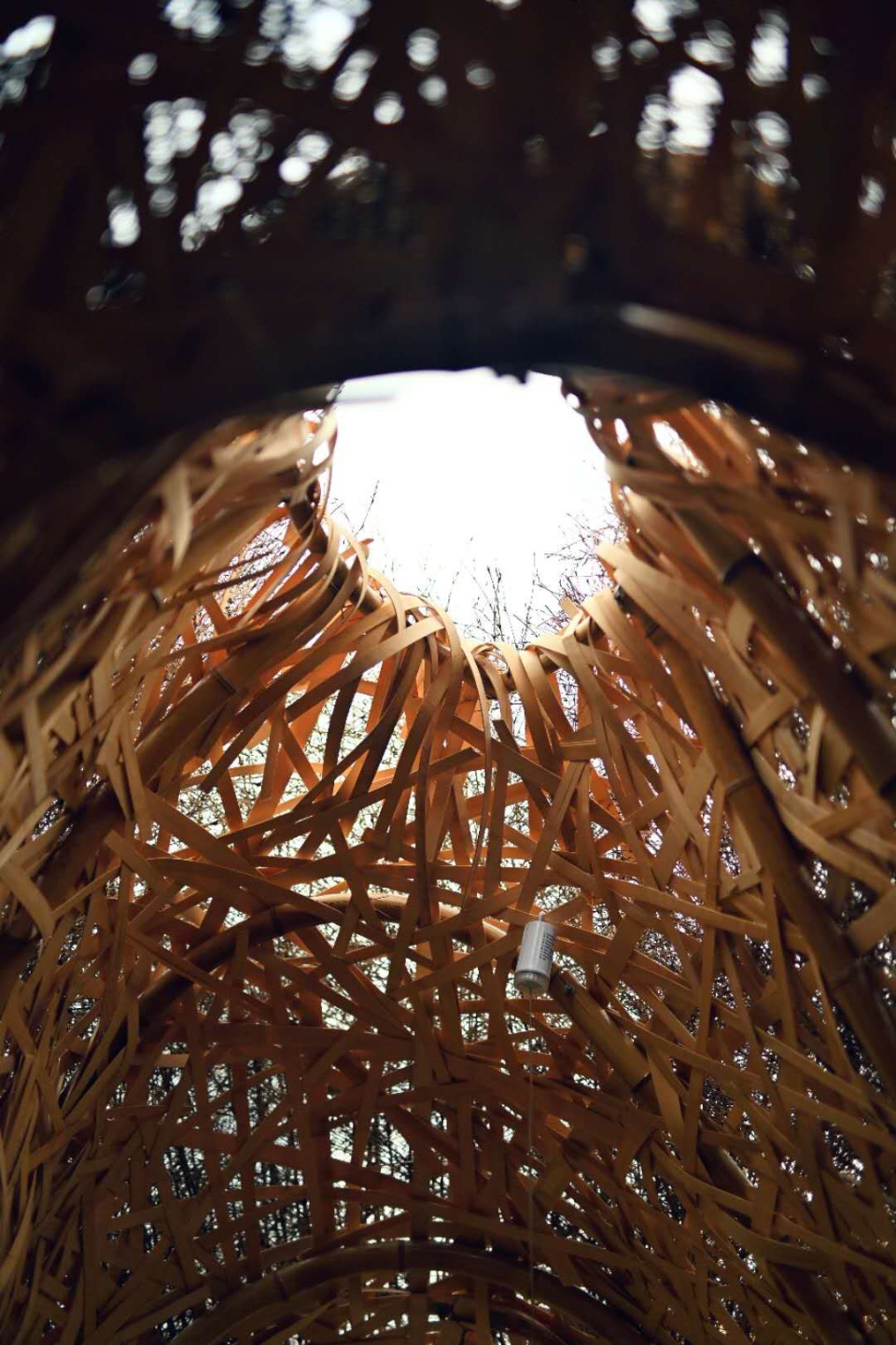 秘境花园 | 树洞中的心灵秘境-35