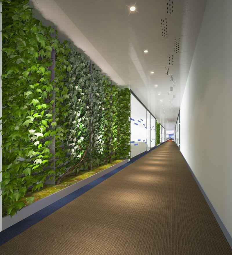 道明光学股份有限公司新厂区办公楼设计-0