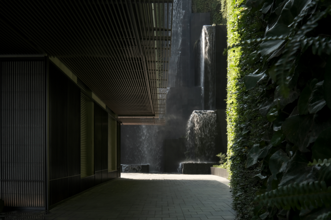 山岚褶皱处的寂静生长|阿那亚三亚景观秘境诗学-214