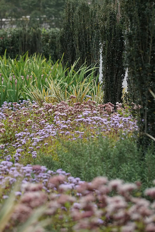 上海天辰生命科技城花香花园丨中国上海丨L&A设计集团上海分公司花香仙境团队及第三项目团队-24