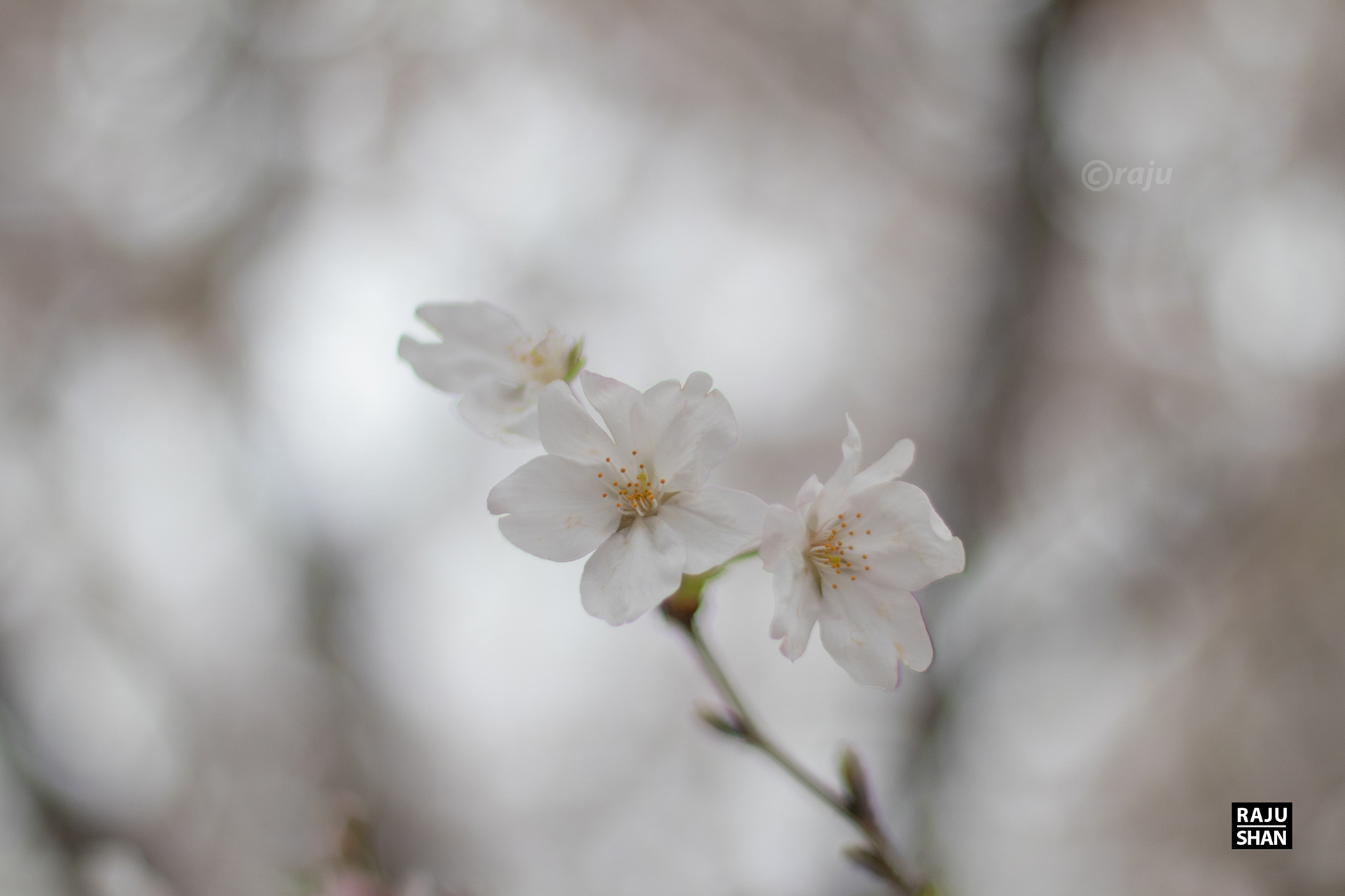 杭州梦城丨中国杭州-13