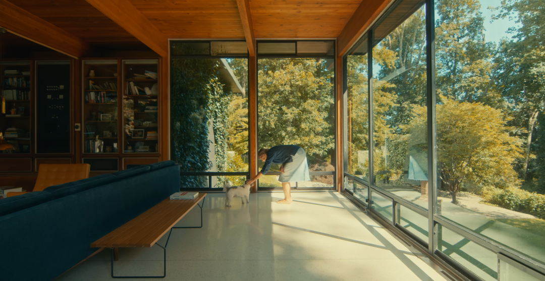 世界一隅|森林里的中世纪现代主义之家-12