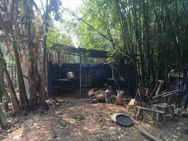 她徒手爆改废弃院子，三人一猫一狗，过着最诗意的生活！-71