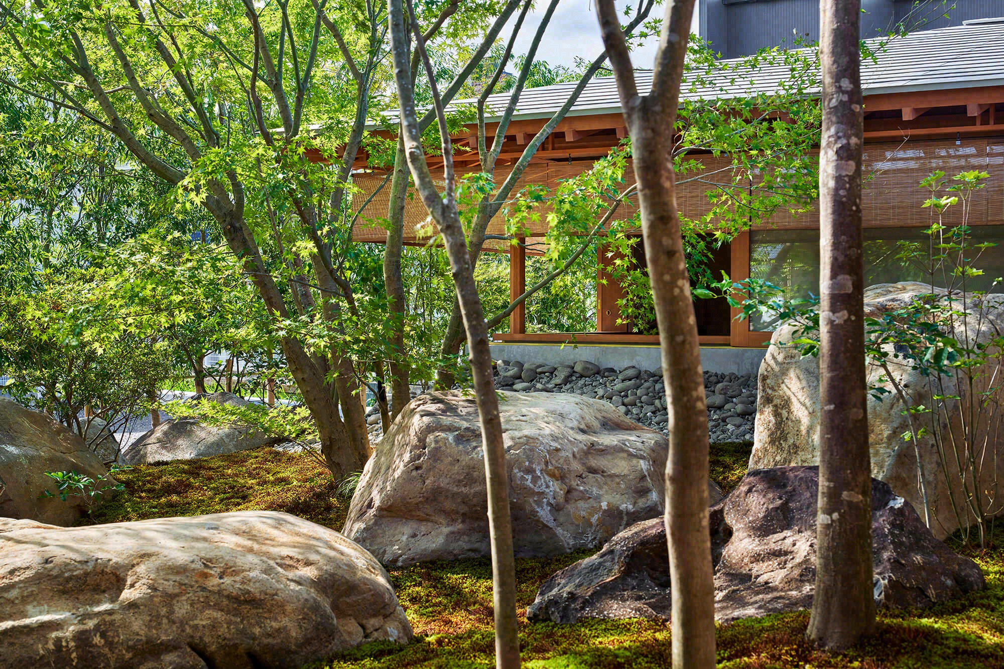 德荣寺 紫音庵丨日本福冈丨Masumi Yanase Architect Office-56