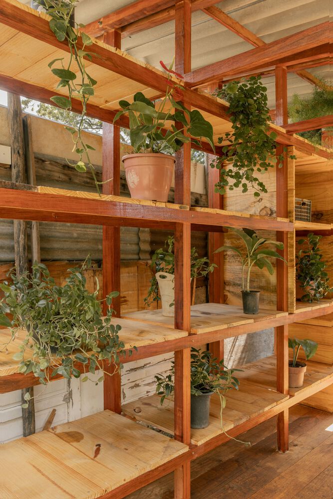 保留自我管理动态功能松木框架绿植园艺工作室设计丨巴西丨米纳斯吉拉斯联邦大学建筑学院项目部-10