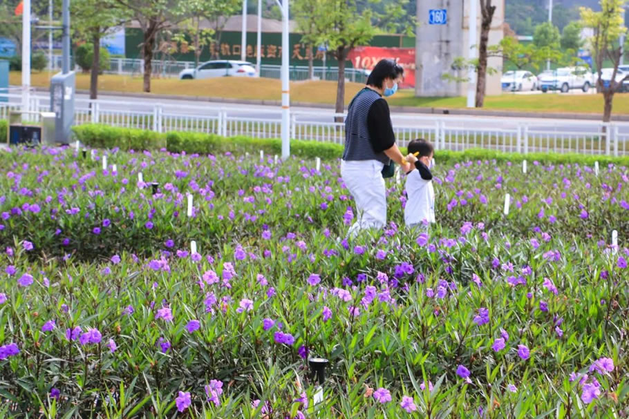 惠州星河仲恺御湖公园丨中国惠州丨皮埃尔·阿兰-28