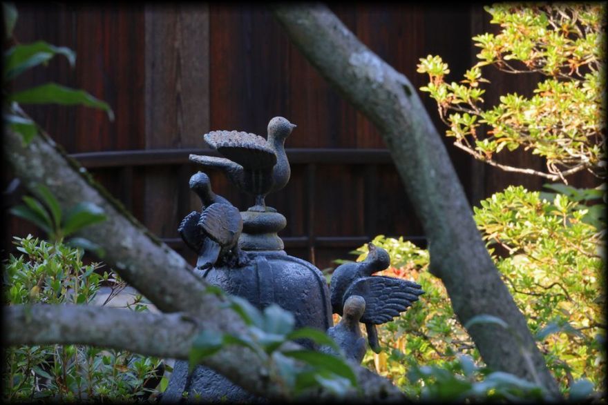 京都御所(京都皇宫)丨日本京都-40