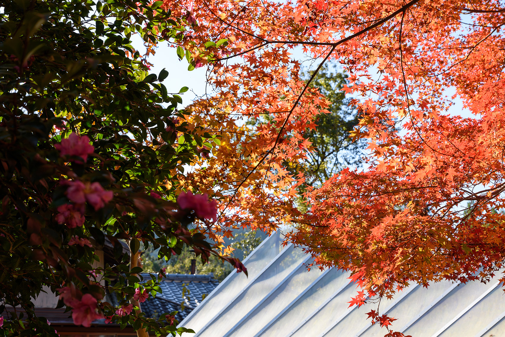 廊架住宅丨日本静冈丨Takayuki Kuzushima and Associates-84