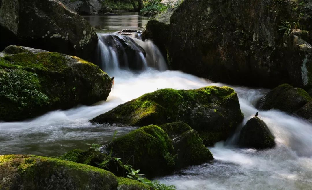 耐思迪家居 2019 户外游,感受大自然与文化的融合-24