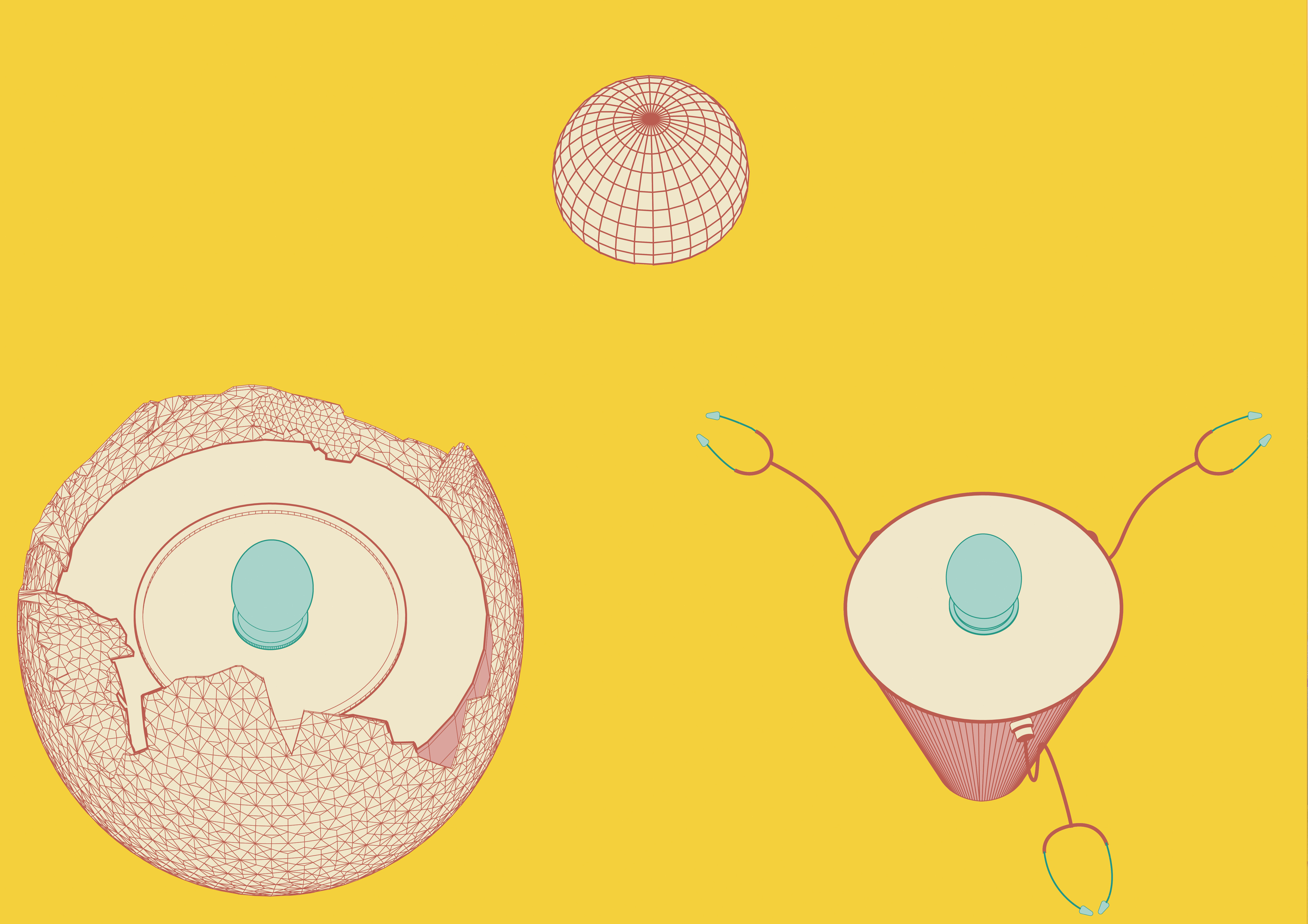 《窃蛋物语》河源恐龙文化体验馆—广美毕业设计作品_Reksa丨中国广州丨ReksaiDJM-39