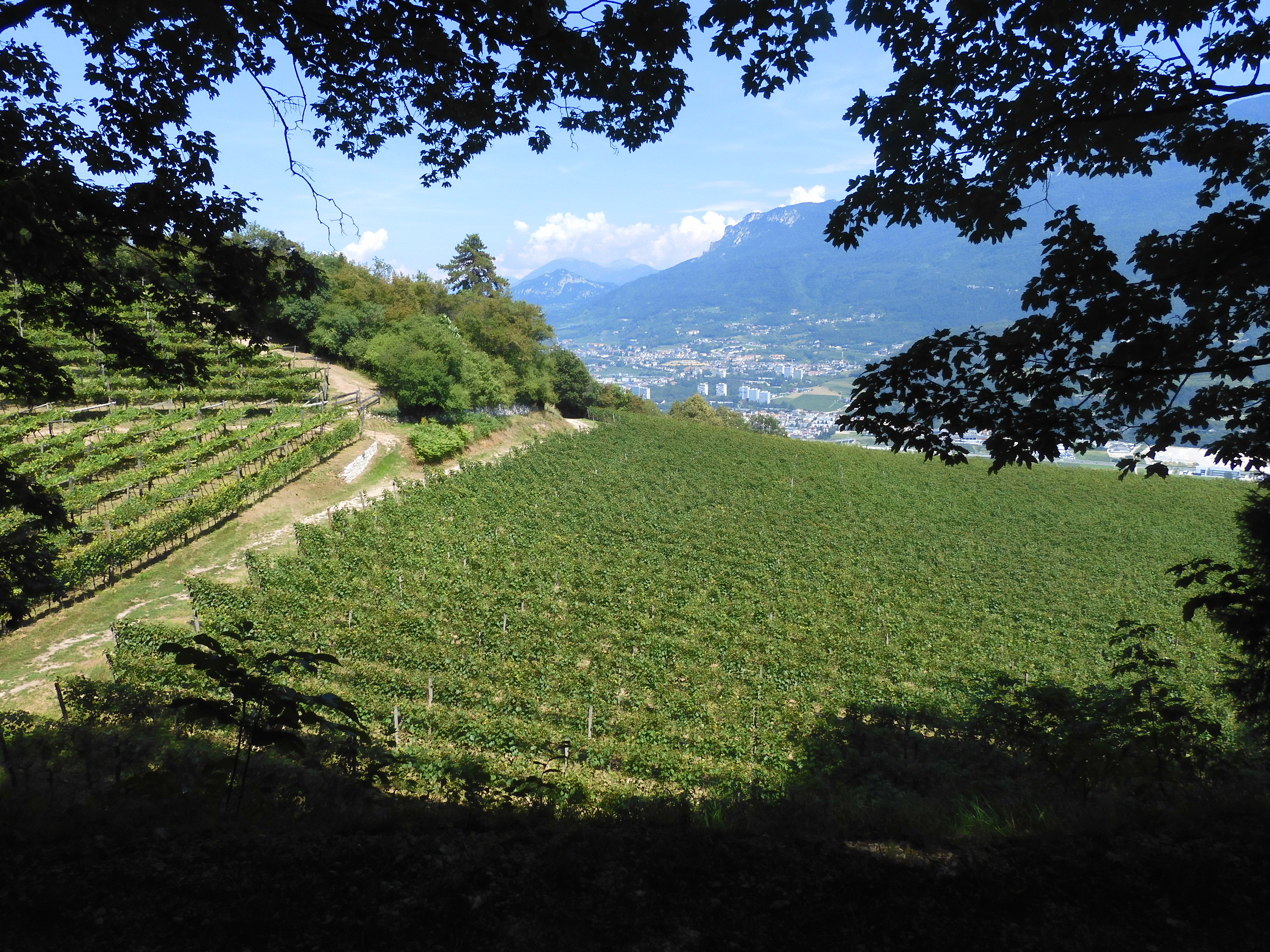 丨意大利特伦托-27