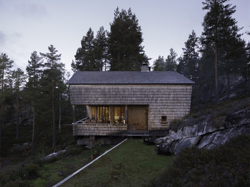 挪威杜鹃的巢室-4