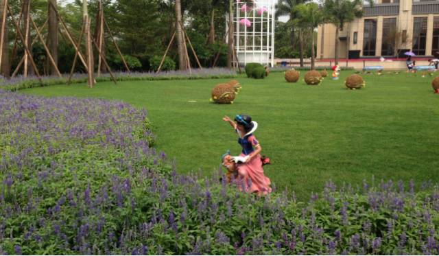 绿化设计中的地被放线手法与植物配置-32