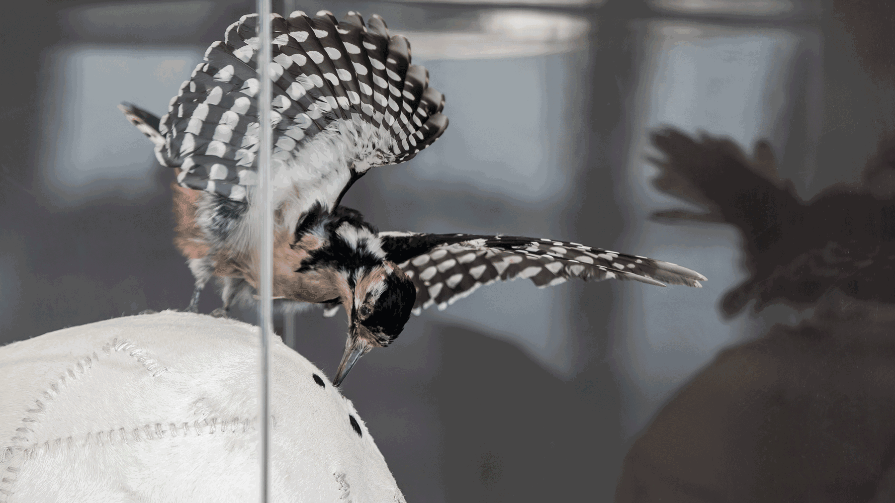 广州南沙金茂湾滨海T7商务空间  PINKI品伊创意机构-23