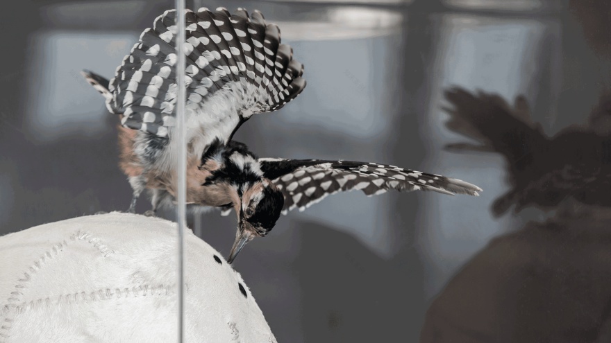 广州南沙金茂湾滨海T7商务空间 PINKI品伊创意机构-23