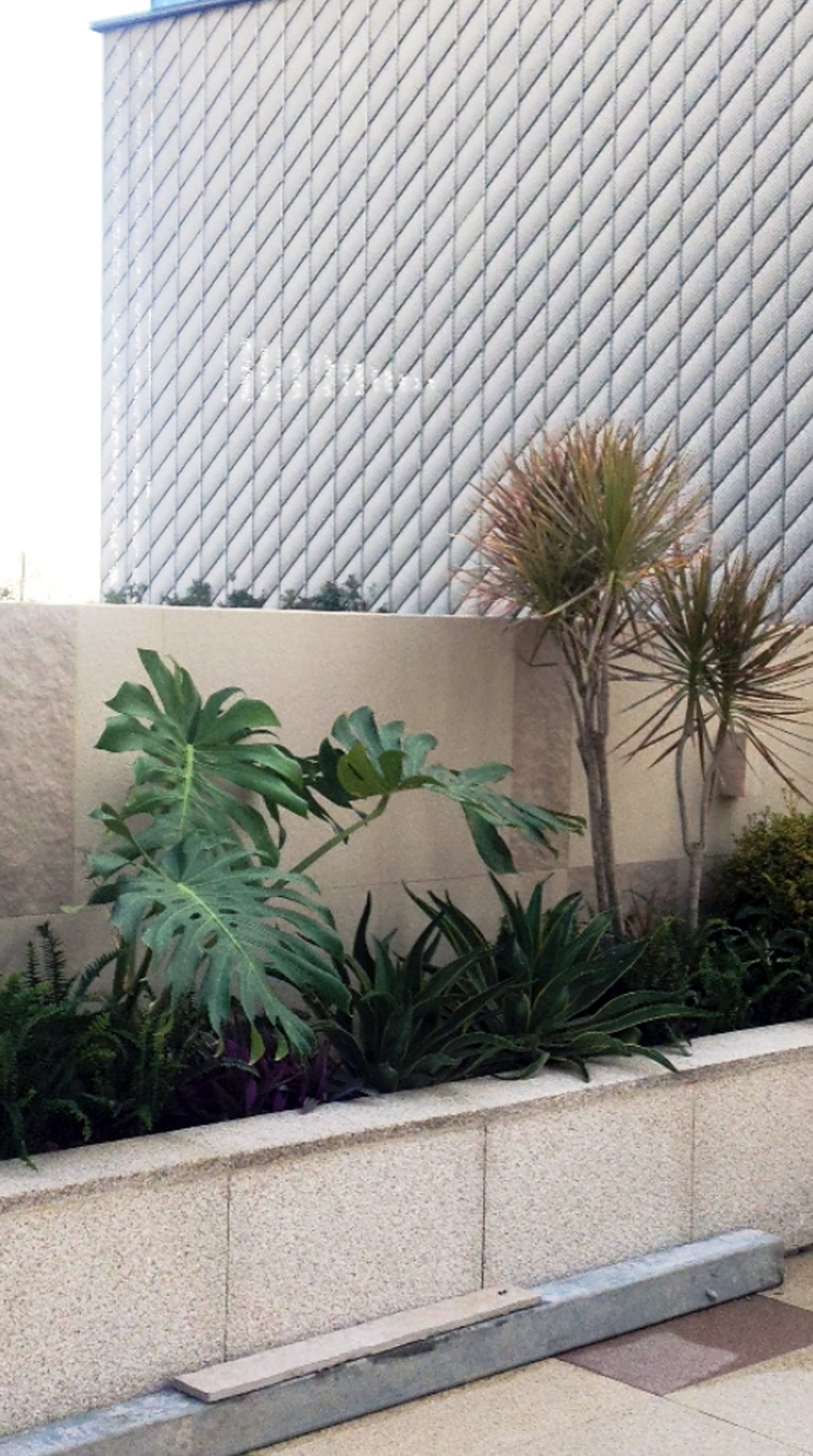 露台景观花园-3