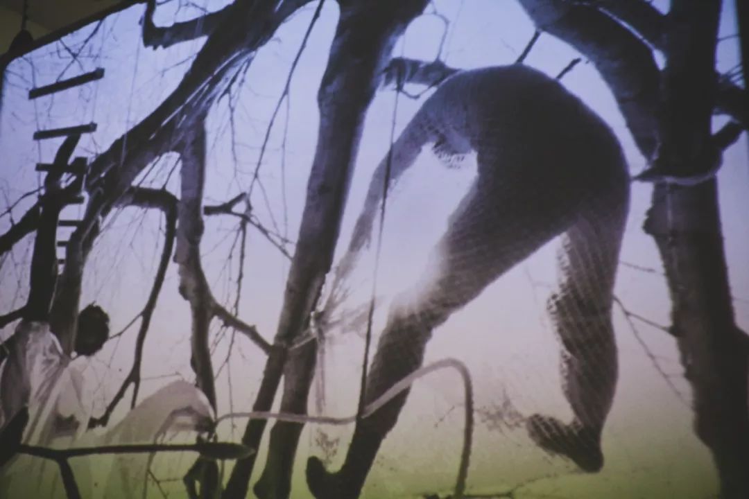 享受吧，拥抱活着的建筑：努维尔+马塔-克拉克，PSA2019压轴建筑双展开幕 – 有方-84