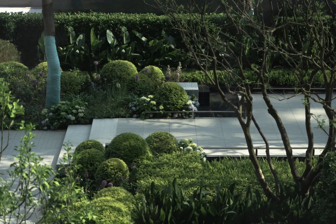 重庆 万科·璞玉丨A&N 尚源集序Collection Studio-36