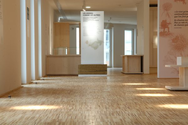 奥尔良生物多样性与环境博物馆生土展示台项目丨法国奥尔良-46