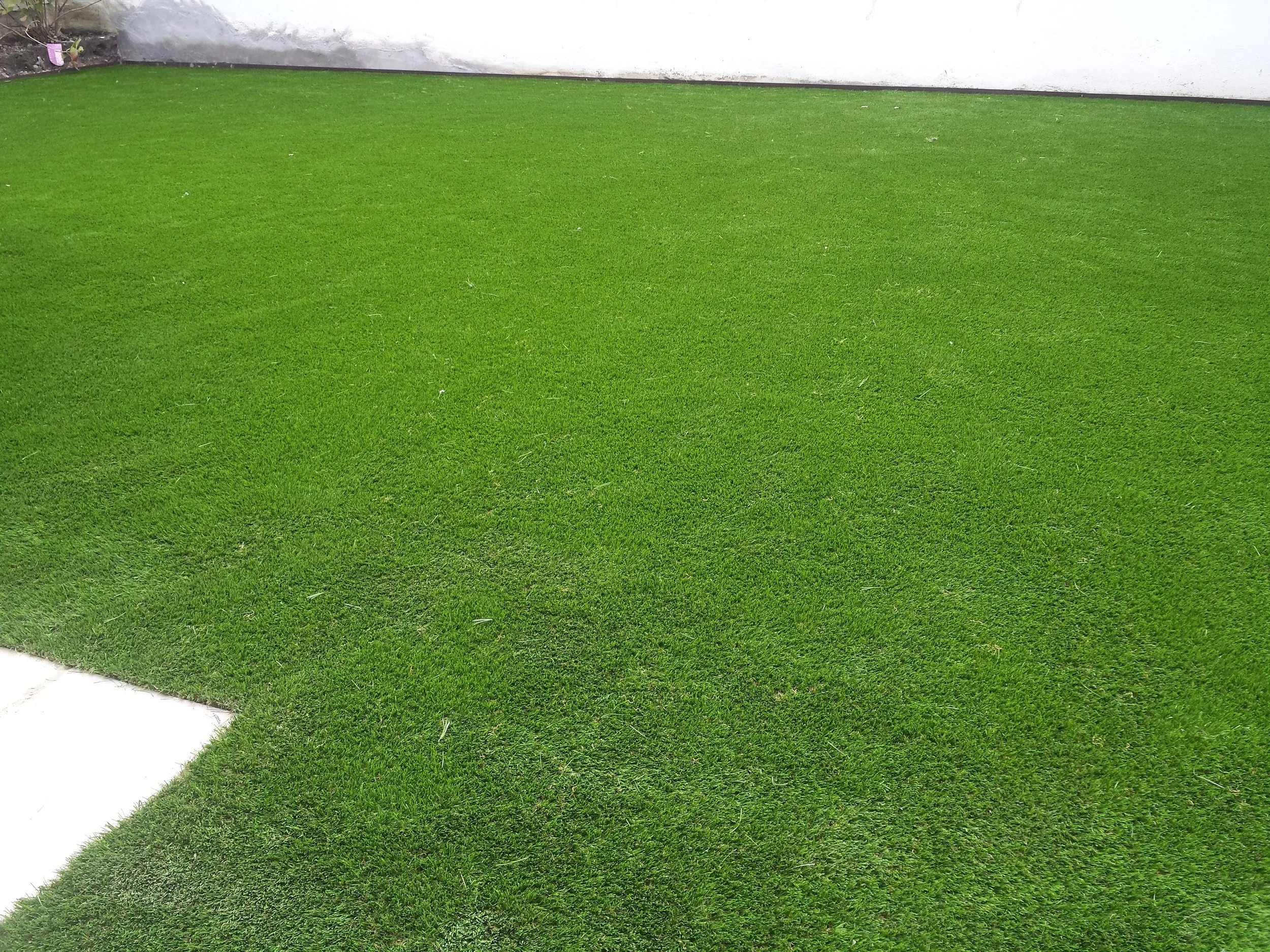 Howth Road庭院景观设计项目-15