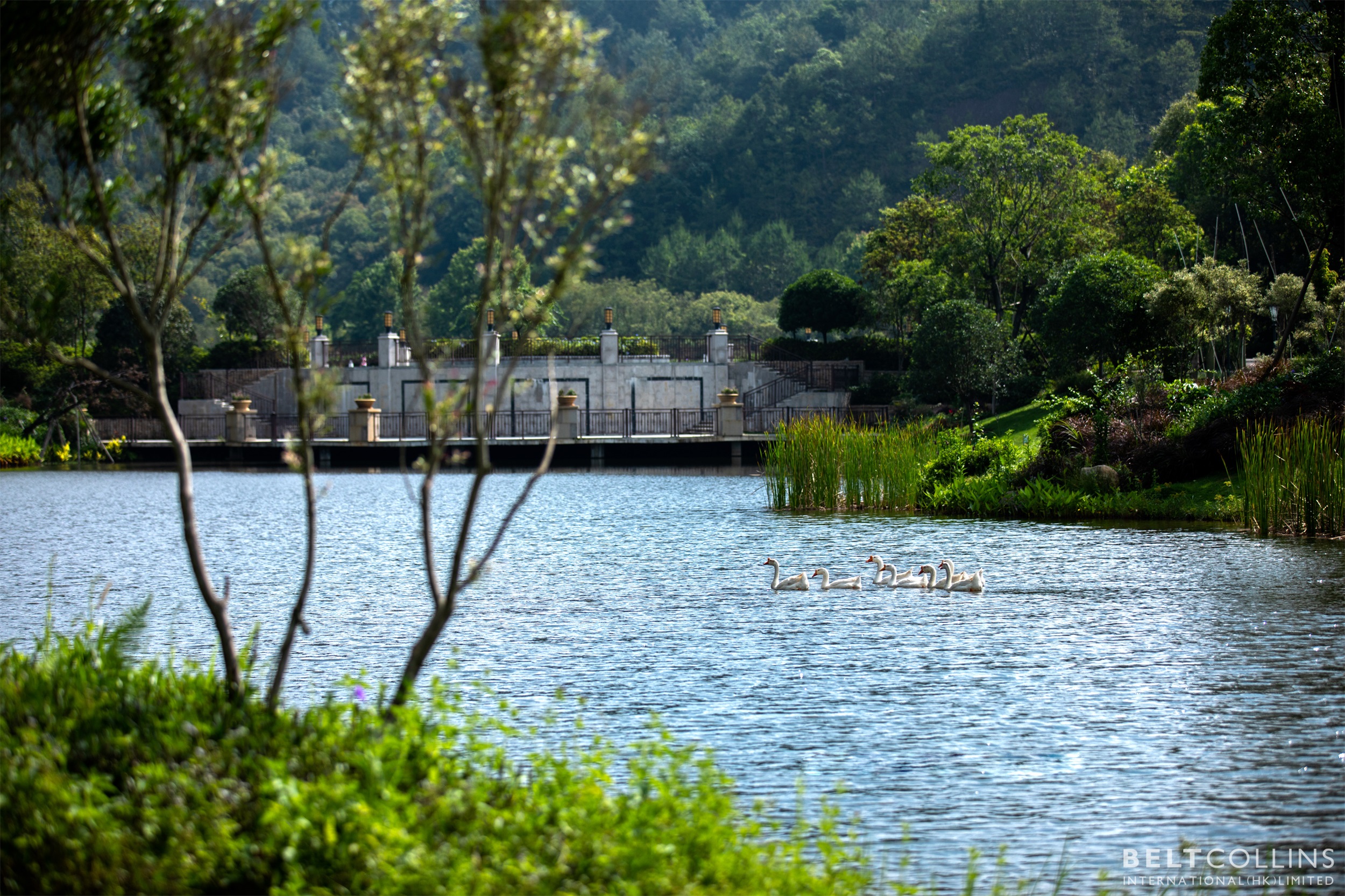 梅州雁山湖国际花园度假区丨中国梅州丨贝尔高林国际（香港）有限公司-93